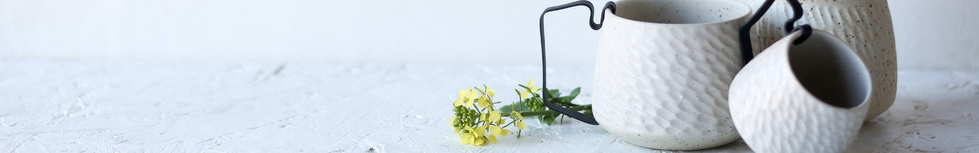 collection-banner-image