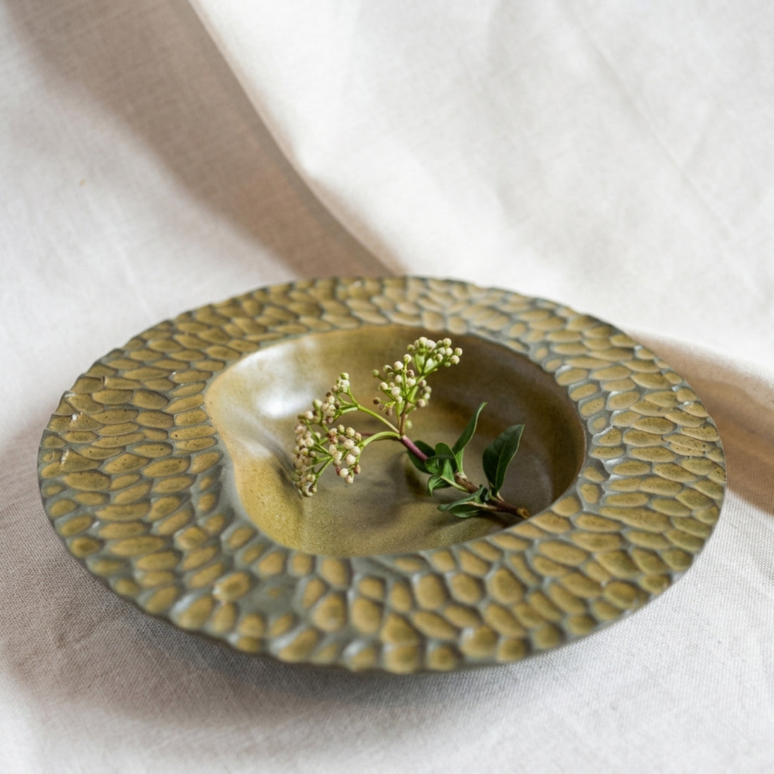 Spaghetti Plate